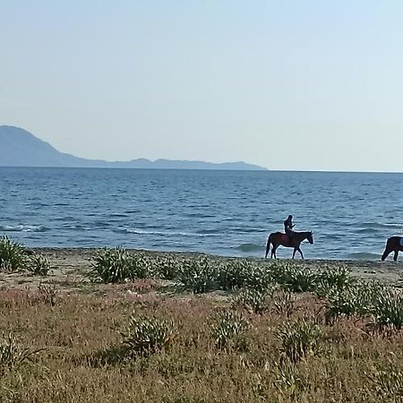 Pozzuoli-Licola Mare Apartman Kültér fotó